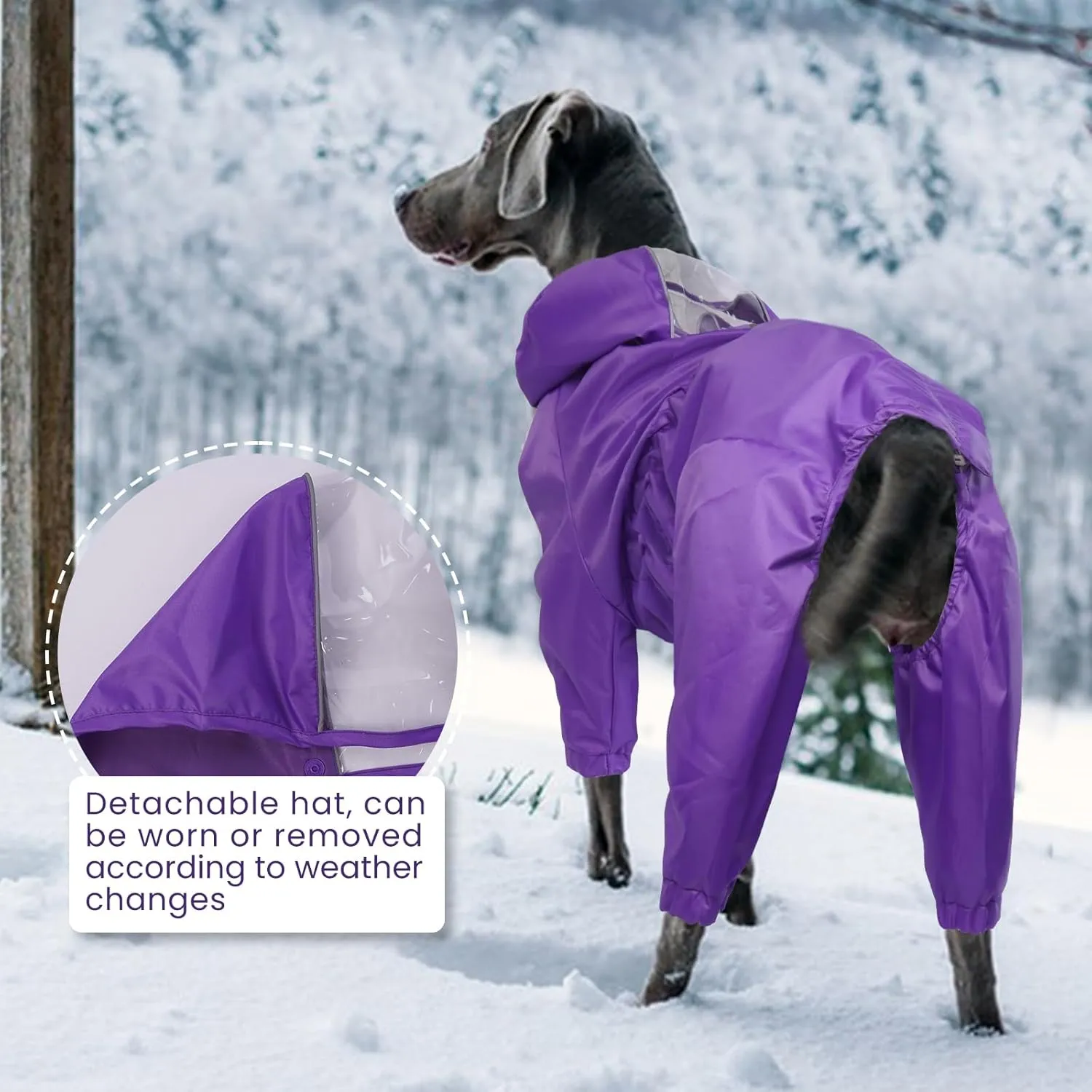 Dog Rain Jacket for Large Dogs, Waterproof Dog Raincoats with Clear Hooded for Large Dogs, Full Body Rain Caot, Poncho, Rainwear, Golden Retriever, Weimaraner (Purple XXL)