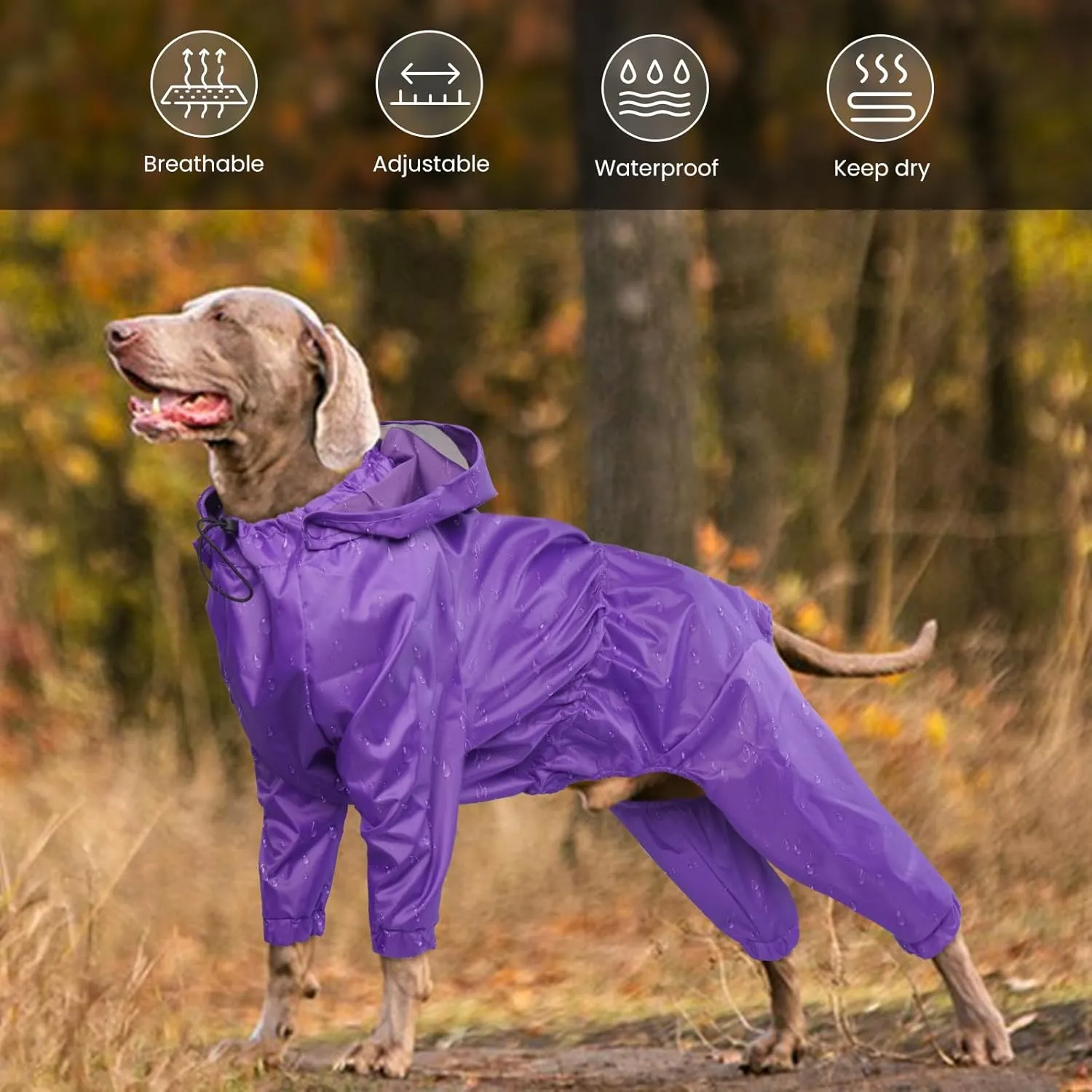 Dog Rain Jacket for Large Dogs, Waterproof Dog Raincoats with Clear Hooded for Large Dogs, Full Body Rain Caot, Poncho, Rainwear, Golden Retriever, Weimaraner (Purple XXL)
