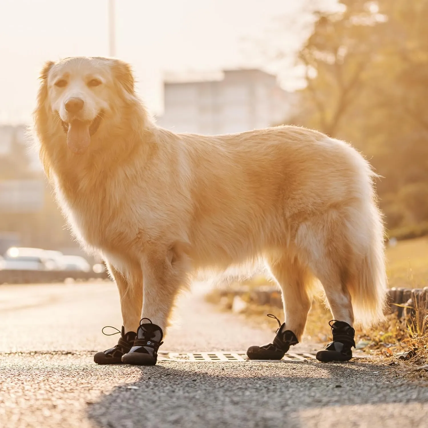Dog Shoes for Large Medium Size Dogs, Breathable Dog Boots&Paw Protectors for Summer Hot Pavement Winter Snow, Waterproof Anti Slip Dog Booties for Outdoor Walking Hiking Hardwood Floor
