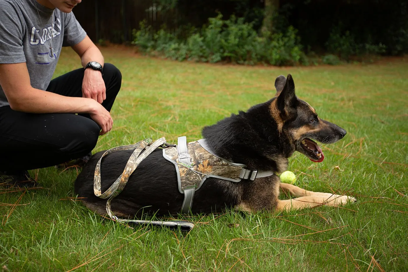 Doggy Tales Patented Hart Harness, Edge