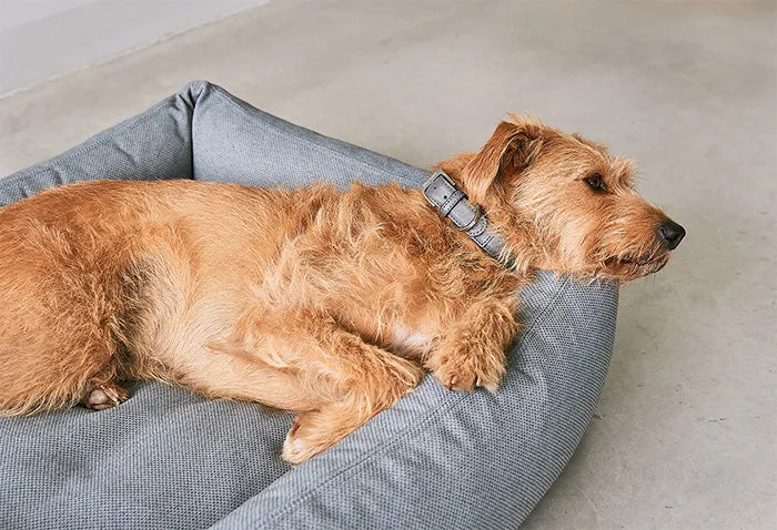 Ecofriendly Orthopedic & Hypoallergenic Dog Bed Mare