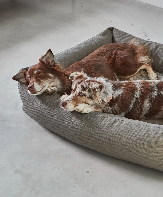 Ecofriendly Orthopedic & Hypoallergenic Dog Bed Mare