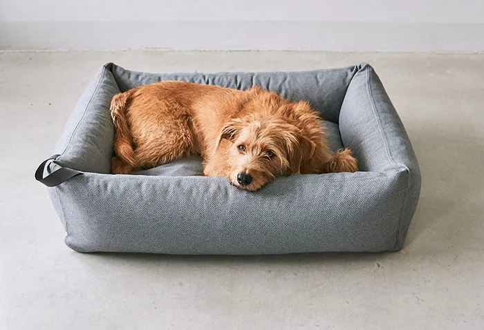 Ecofriendly Orthopedic & Hypoallergenic Dog Bed Mare