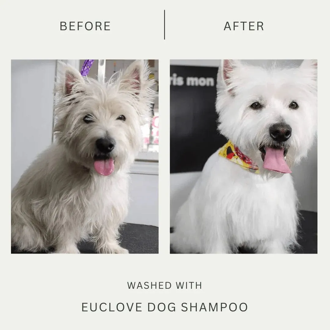 Euclove Non-Toxic Shampoo For Dogs 500ml
