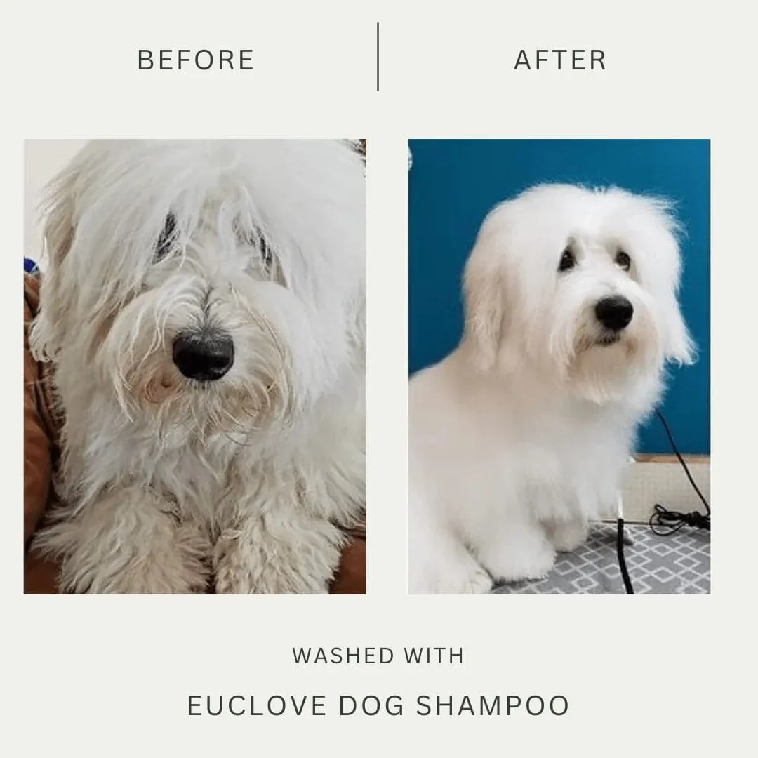 Euclove Non-Toxic Shampoo For Dogs 500ml