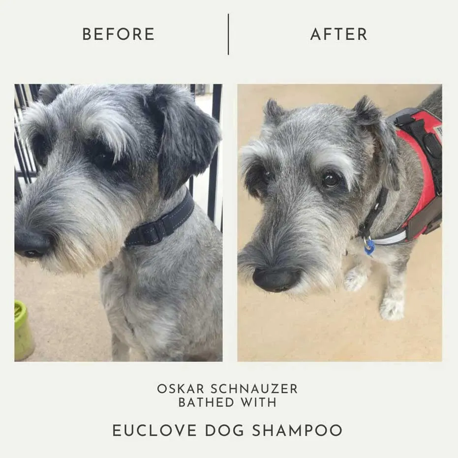 Euclove Non-Toxic Shampoo For Dogs 500ml