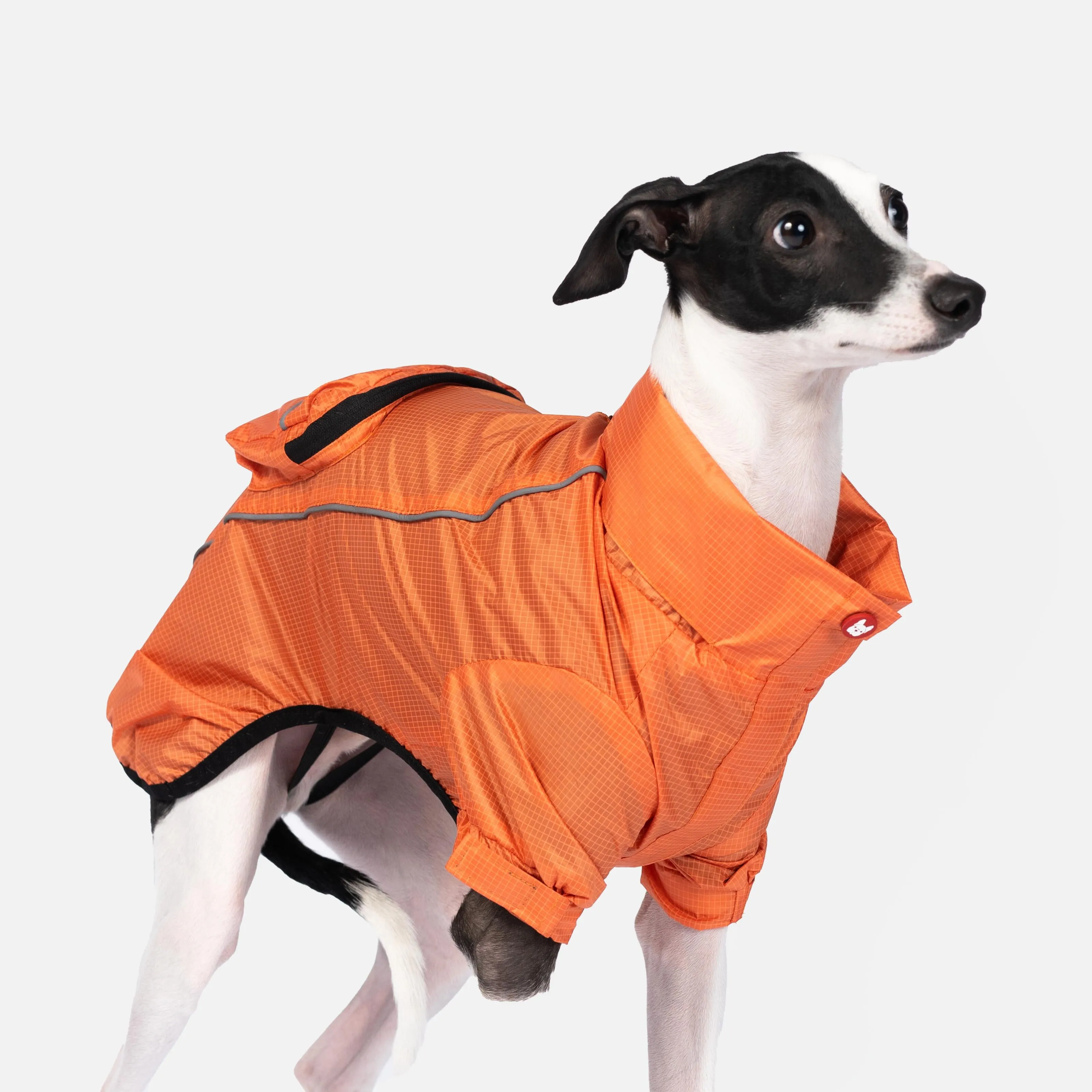 EVA Packable Raincoat – Eco-Friendly, Waterproof, Adjustable Fit | Stylish Dog Rain Jacket with Reflective Piping