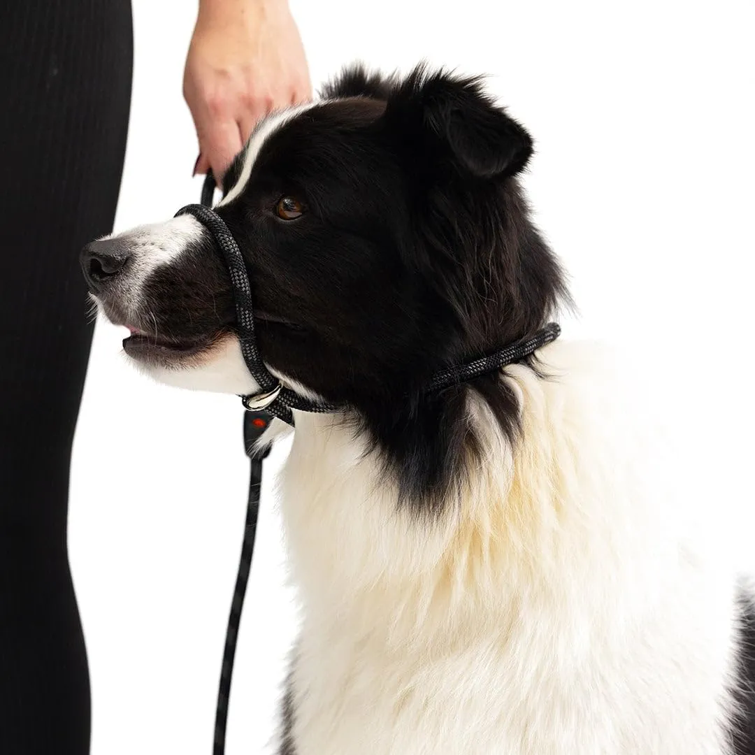 EzyDog Luca Slip Lead Dual Function Heavy Duty Rope Leash for Dogs That Pull Slip Leash & Gentle Lead Head Halter, Small (5.5ft x .23', Black)