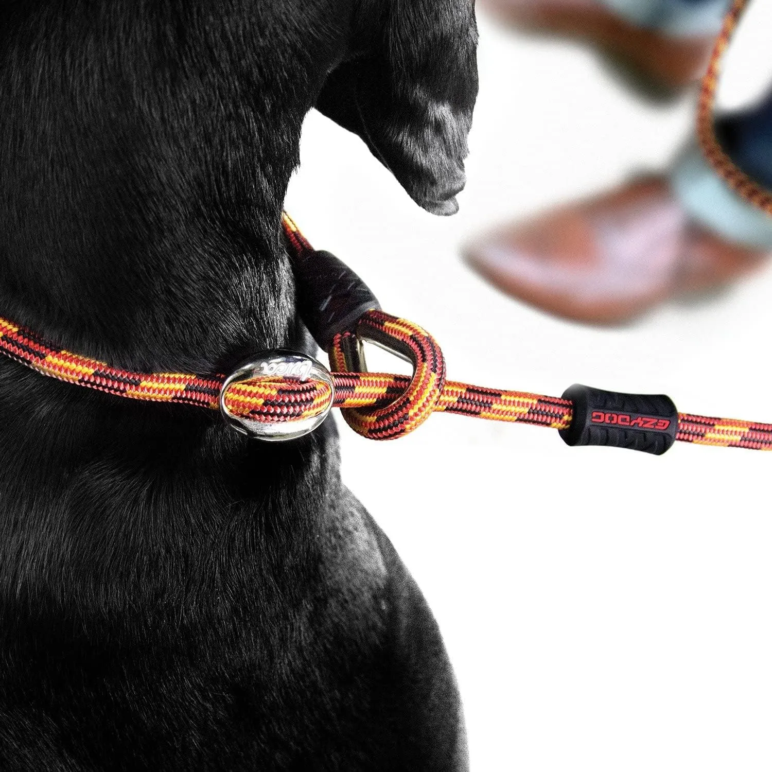 EzyDog Luca Slip Lead Dual Function Heavy Duty Rope Leash for Dogs That Pull Slip Leash & Gentle Lead Head Halter, Small (5.5ft x .23', Black)