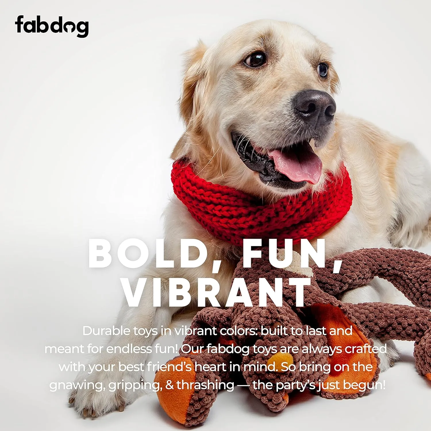 fabdog Floppies Plush Dog Toy - Cute & Durable Squeaky Dog Toys - Best Squeak Toy for Puppies and All Breeds | Ideal Pet Gift| Small Dog