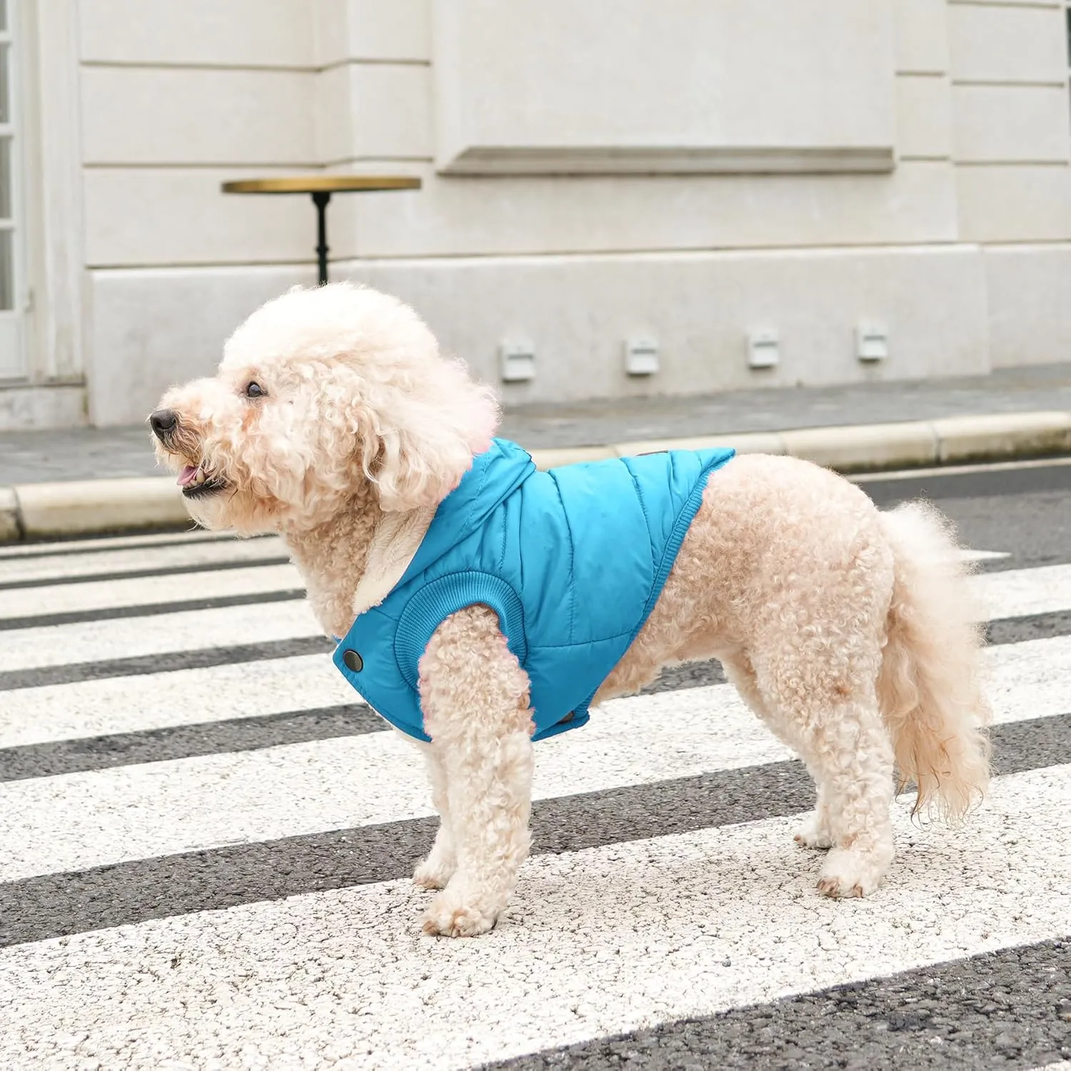 Fleece Lining Extra Warm Dog Hoodie in Winter for Large Dogs Jacket Pet Coats with Hooded,Light Blue XXXL