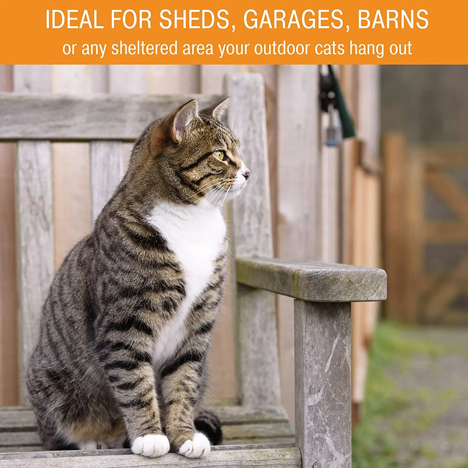 Heated Outdoor Pet Pad - Lectro-Soft Heated Outdoor Bed - K&H Pet Products