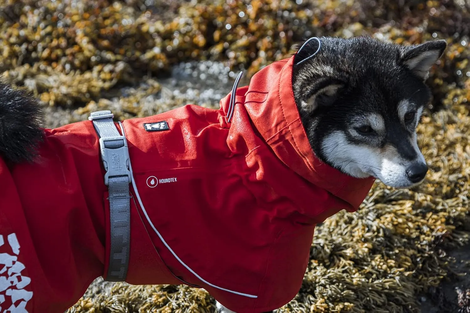 Hurtta Monsoon Coat ECO, Dog Raincoat, Rosehip, 22 in