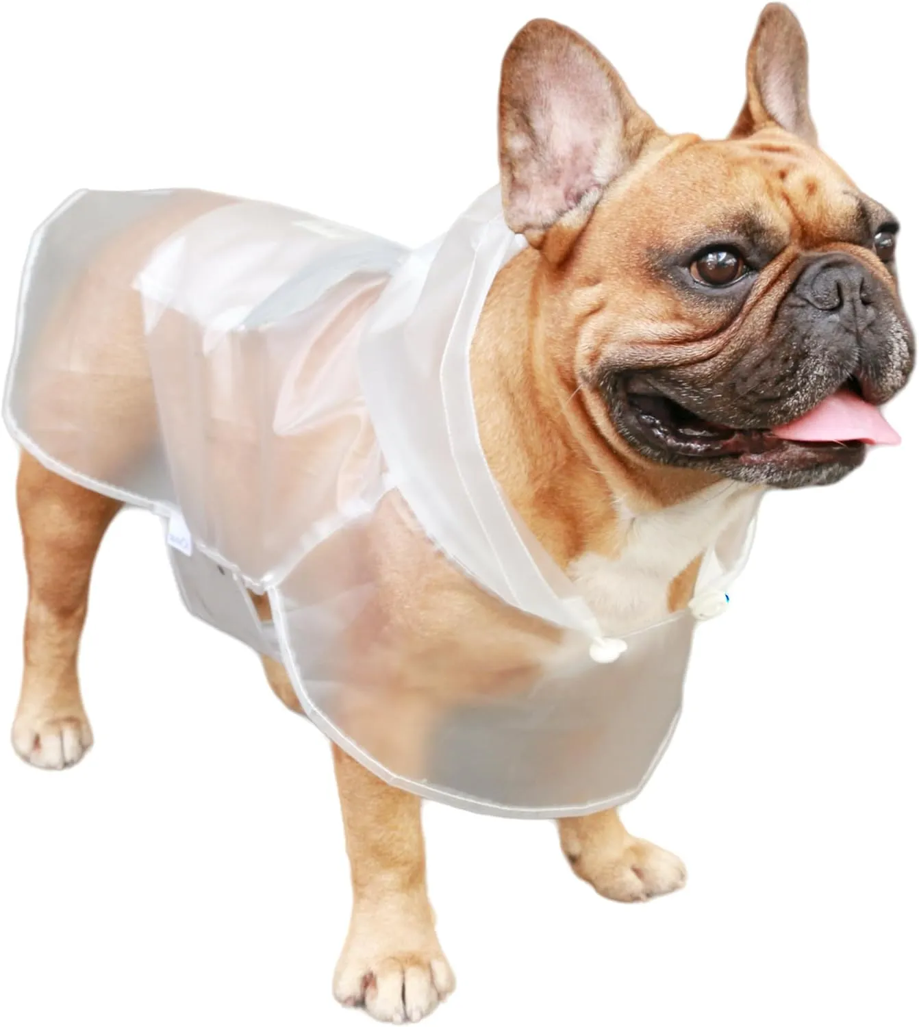 iChoue Dog Raincoats, Packable Rain Coats, Lightweight Rain Jacket with Reflective Straps, Adjustable Poncho for Medium Dog French English Bulldog Pug Terrier (Clear, Medium)