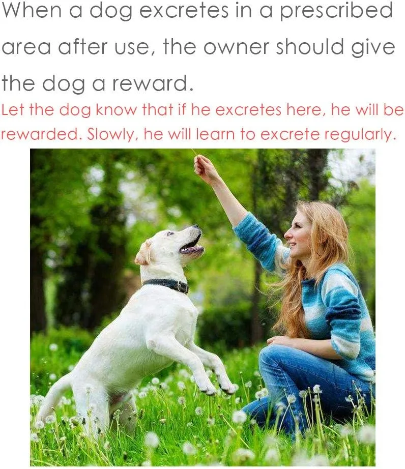 Inducer 30ML Dog Toilet Training Training Potty Spray Props Dog Spray Pet Pet Supplies Pet Supplies Organizers and Storage
