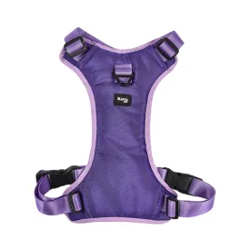 Kanu Pet Lilac Dog Harness