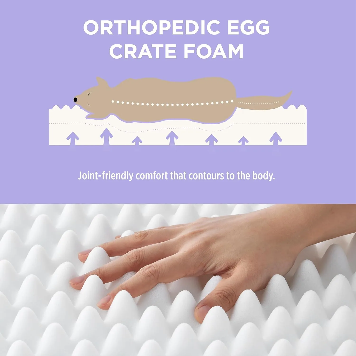 Lesure Cute Orthopedic Dog Bed Large Sized Dog, Waterproof Chic Flat Pet Beds with Removable Washable Cover, Fuzzy Thick Egg Crate Foam Pet Mat for Indoor Use (36" x 27", Beige)
