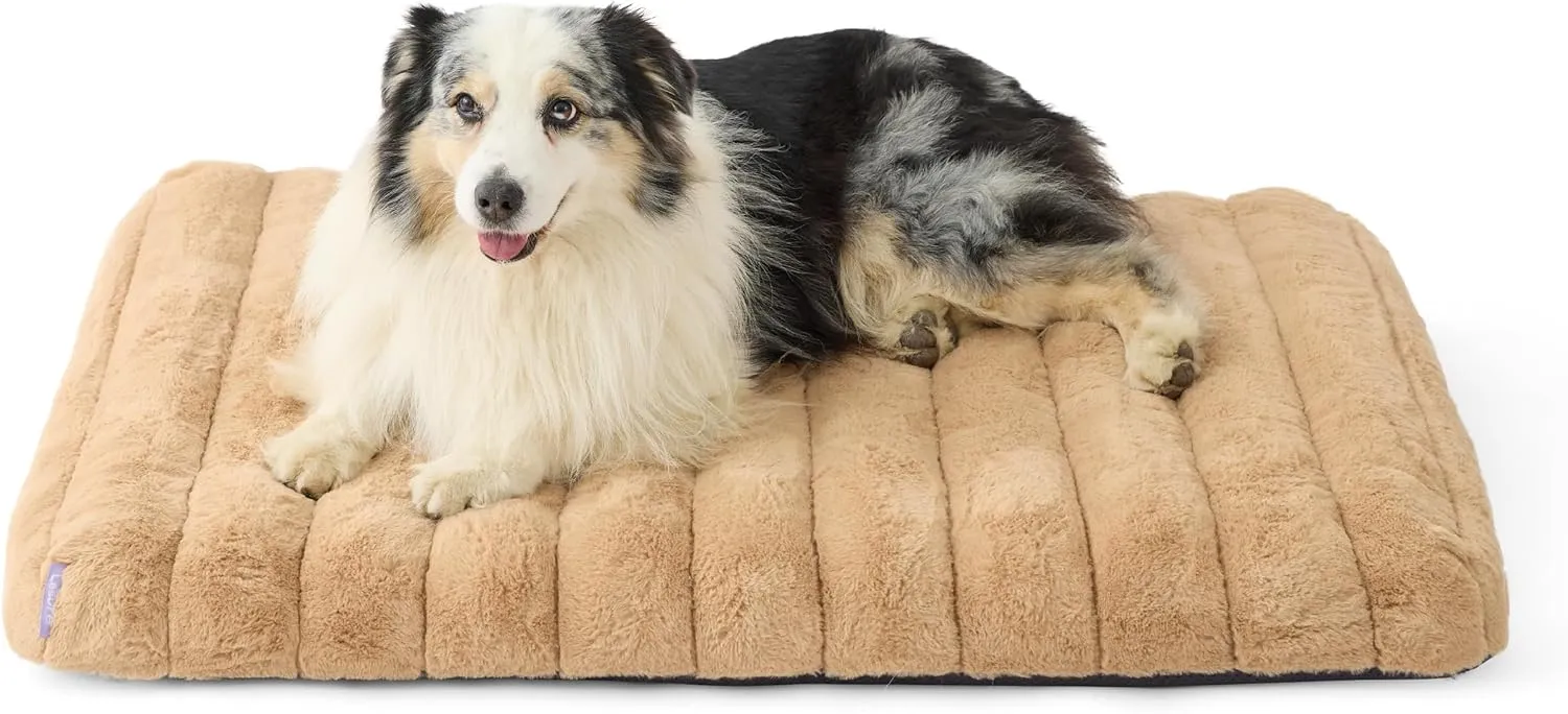 Lesure Cute Orthopedic Dog Bed Large Sized Dog, Waterproof Chic Flat Pet Beds with Removable Washable Cover, Fuzzy Thick Egg Crate Foam Pet Mat for Indoor Use (36" x 27", Beige)