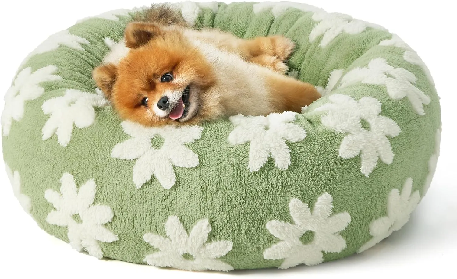 Lesure Small Dog and Cat Bed - Round Calming Beds, Cute Modern Design with Jacquard Shaggy Plush, Anti-Slip Bottom, 23 Inch, Green