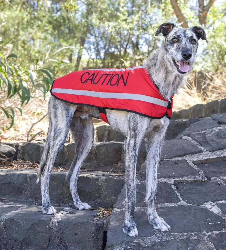 Limited Caution Red S-M M-L L-XL Warm Dog Coats Waterproof Reflective Fleece Lined (Do Not Approach) Prevents Accidents by Warning Others of Your Dog in Advance (M-L Back 17" (43cm)