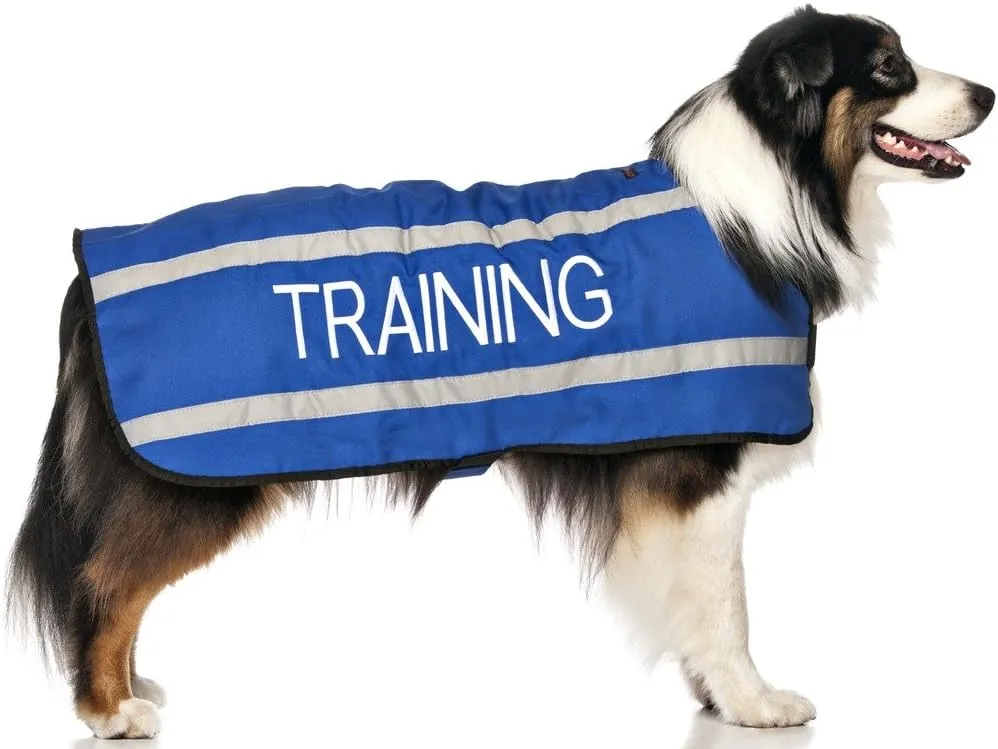 Limited Training Blue Warm Dog Coats S-M M-L L-XL Waterproof Reflective Fleece Lined (Do Not Disturb) Prevents Accidents by Warning Others of Your Dog in Advance (L-XL Back 23" (59cm)