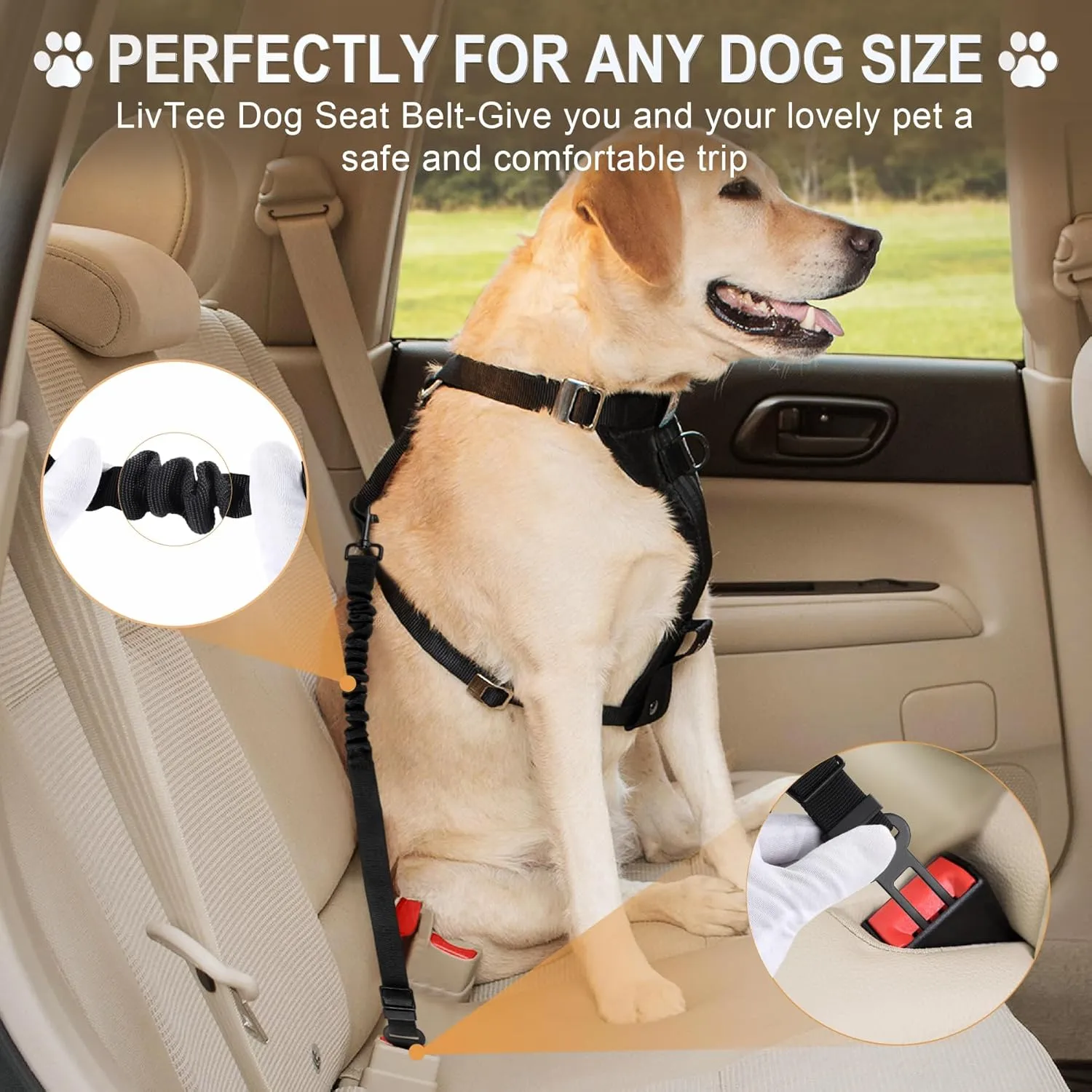 LivTee Dog Seat Belt for Car,1 Packs Set Retractable Dog Car Harness Adjustable and Comfortable Dog Car Seatbelt Leash,Elastic Nylon Pet Safety Seatbelts for Vehicles,Dog Accessories for Car(Black)