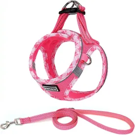 Mercano Soft Mesh Dog Harness and Leash Set, No-Chock Step-in Reflective Breathable Lightweight Easy Walk Vest Harnesses with Safety Buckle for Small Dogs, Cats (M, Fuchsia)