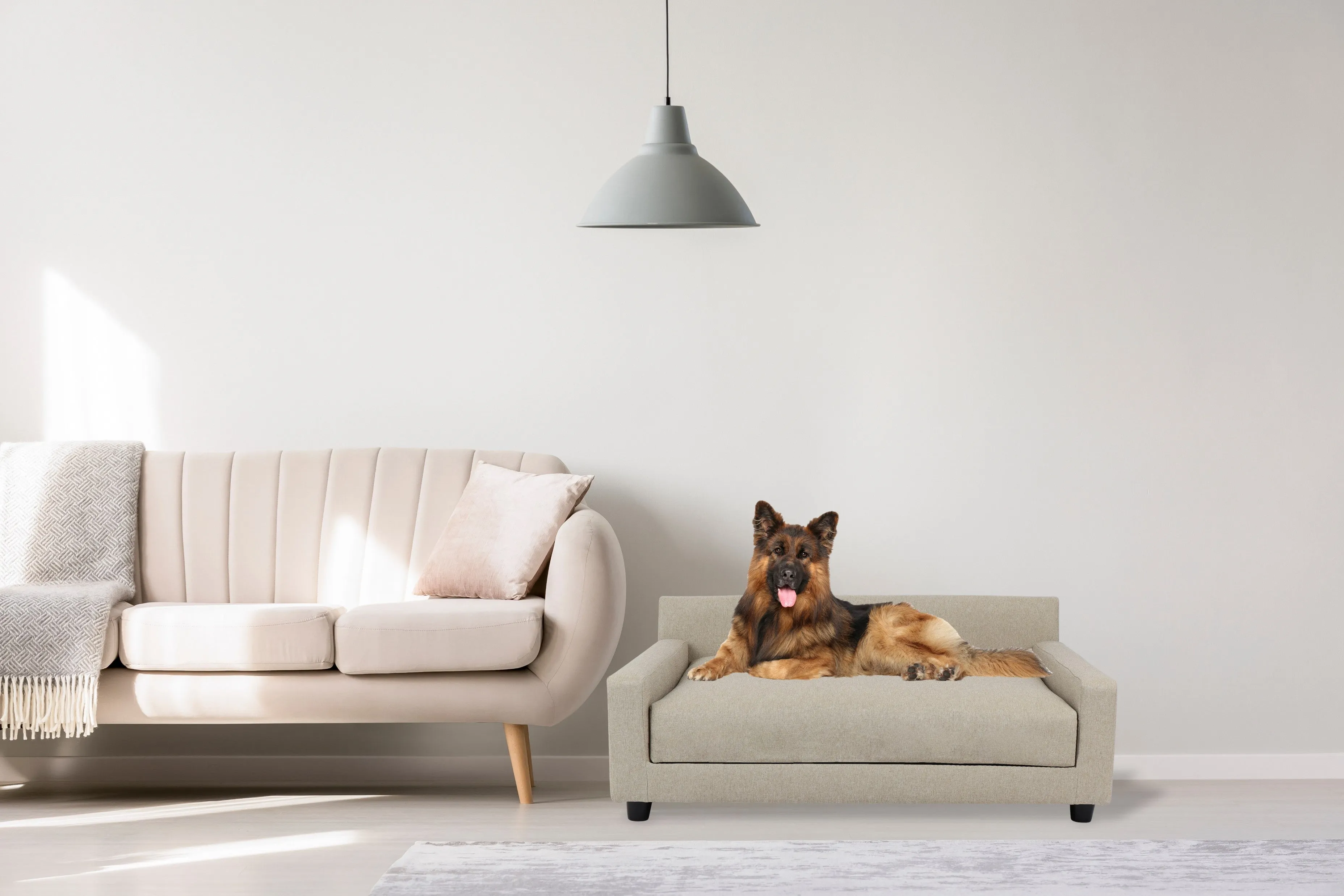 Metro Sofa Bed | Oatmeal