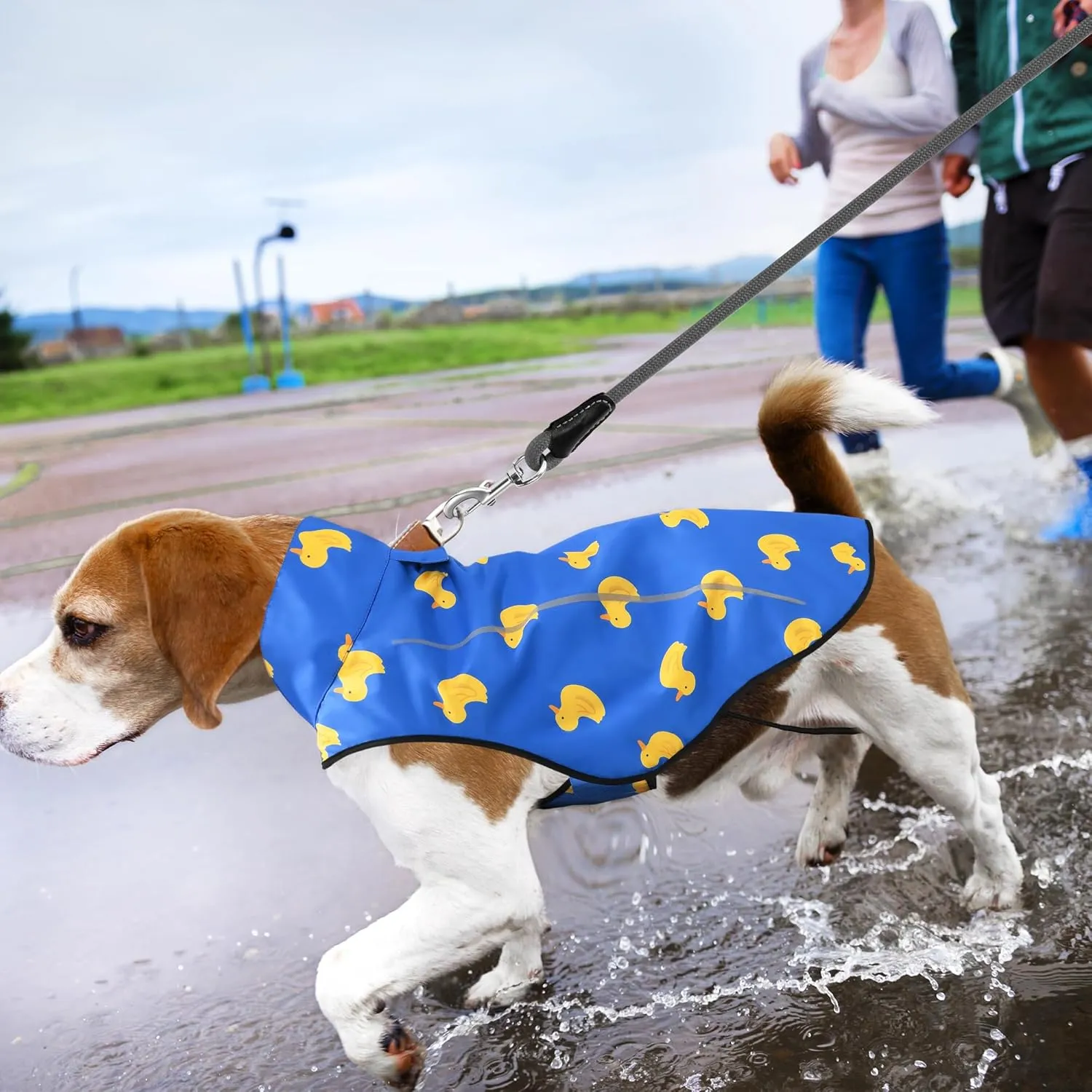 Mile High Life Dog Raincoat, Adjustable Waterproof Reflective Rain Jacket for Small Medium Large Dogs, Lightweight Breathable Pet Rain Coat with Leash Hole(Blue Duck,L Chest 32-40")