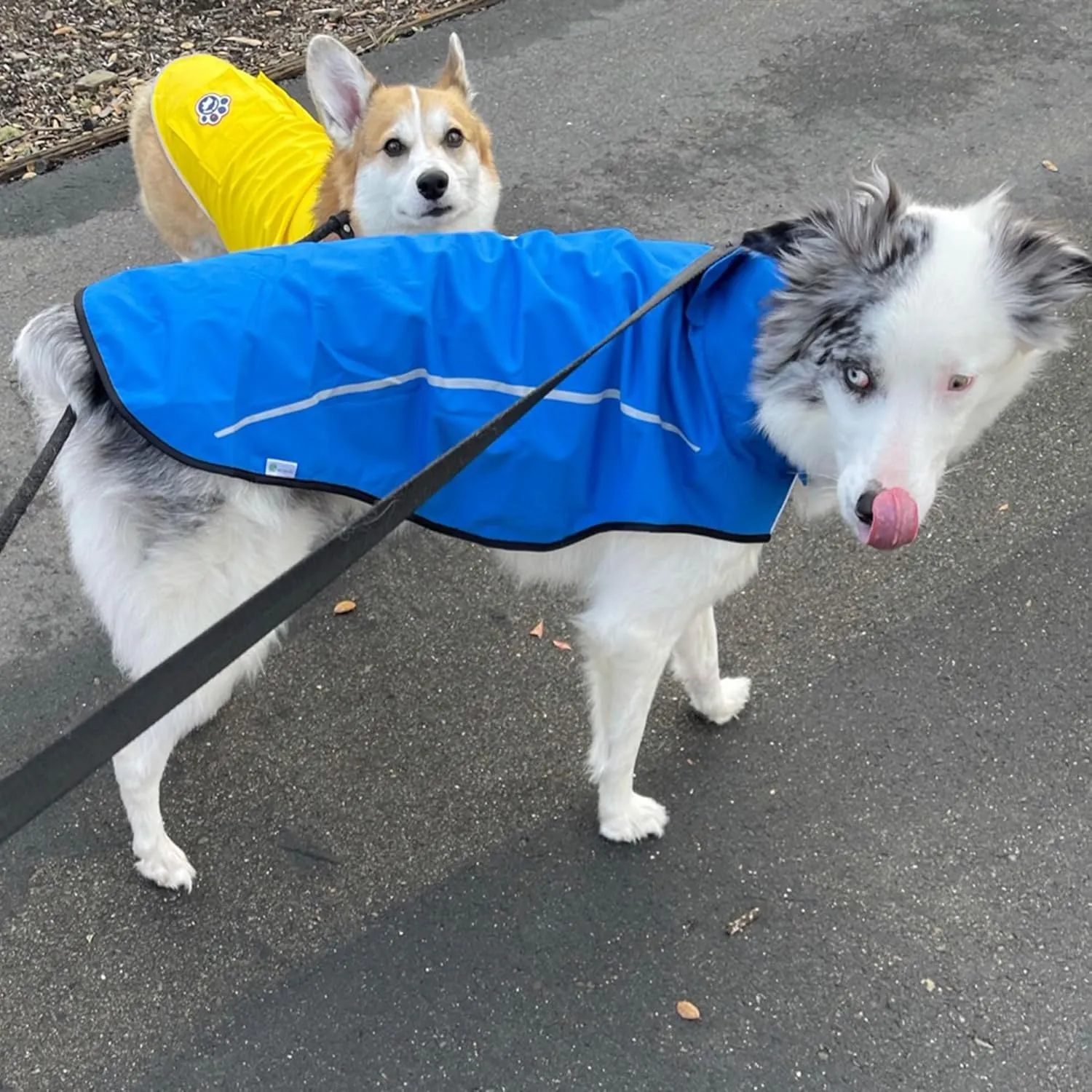 Mile High Life Dog Raincoat, Adjustable Waterproof Reflective Rain Jacket for Small Medium Large Dogs, Lightweight Breathable Pet Rain Coat with Leash Hole(Blue,L Chest 32-40")