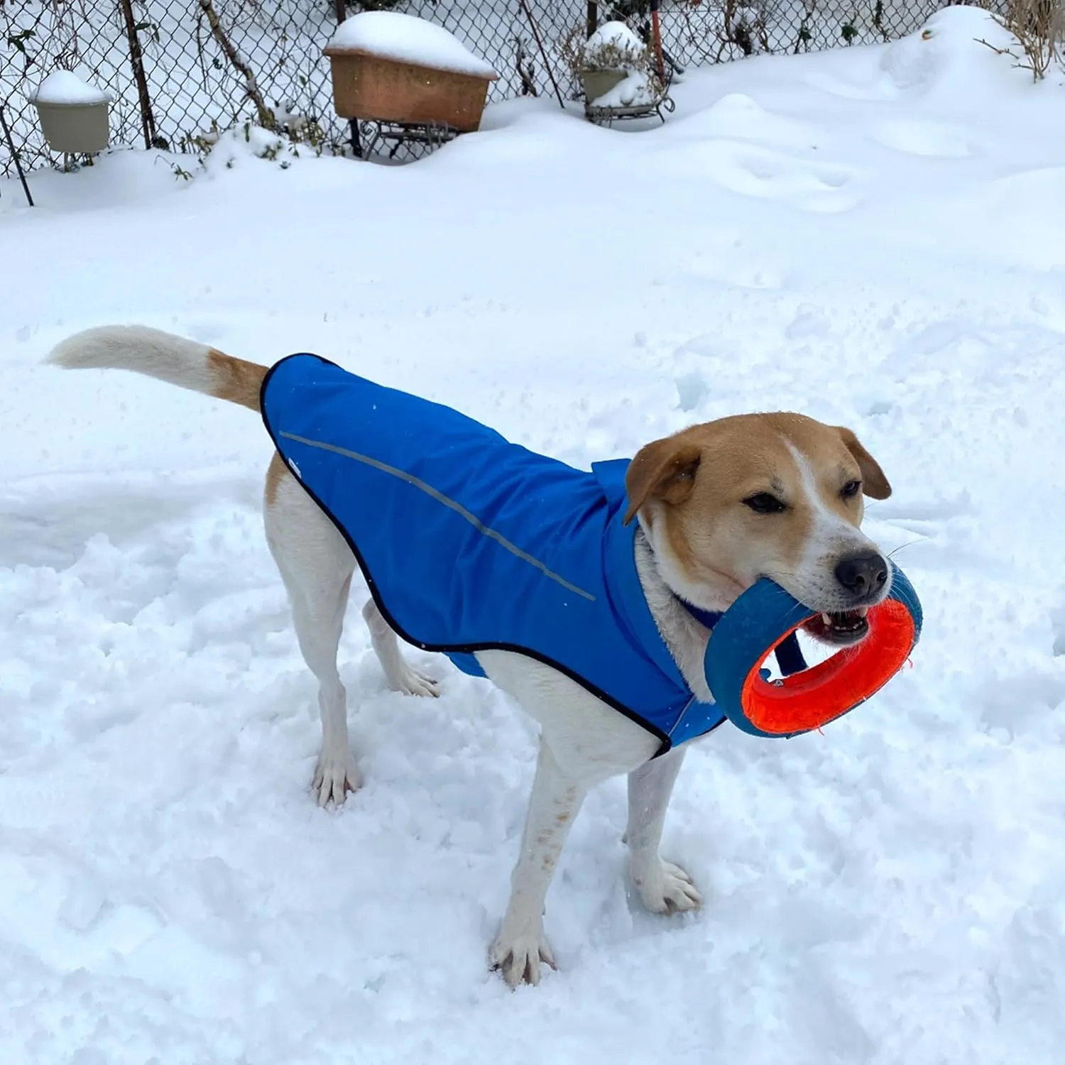 Mile High Life Dog Raincoat, Adjustable Waterproof Reflective Rain Jacket for Small Medium Large Dogs, Lightweight Breathable Pet Rain Coat with Leash Hole(Blue,L Chest 32-40")