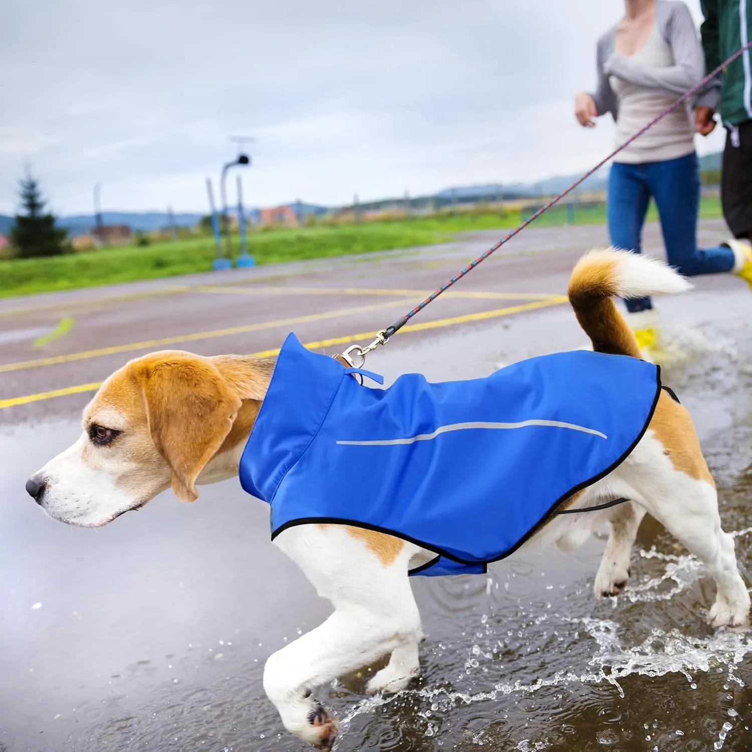 Mile High Life Dog Raincoat, Adjustable Waterproof Reflective Rain Jacket for Small Medium Large Dogs, Lightweight Breathable Pet Rain Coat with Leash Hole(Blue,L Chest 32-40")