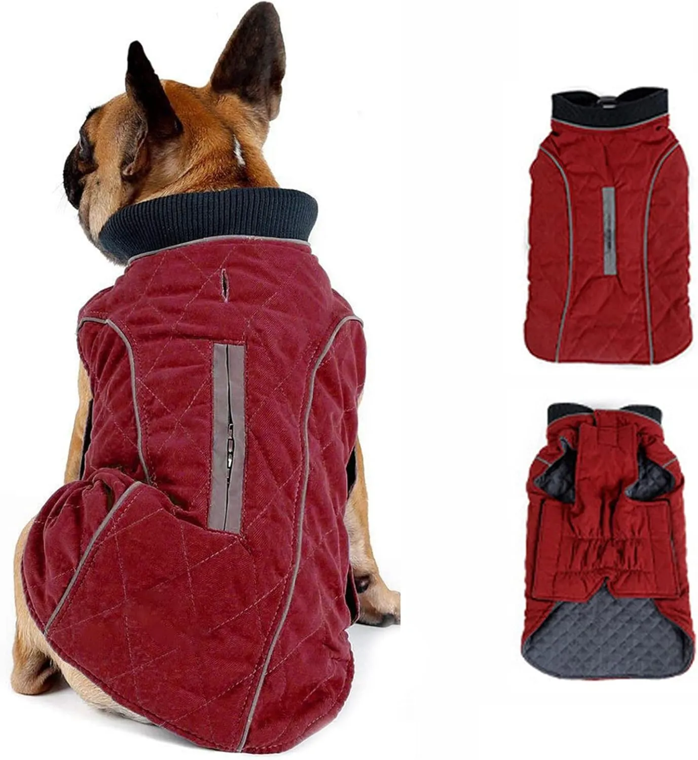 Morezi Dog Coat with Reflective strim, Winter Dog Jacket Water Resistant underbelly Warm Puppy Suit with Harness Hole - Suitable for French Bulldog, shitzu, Jack Russell Terrier - M - Red