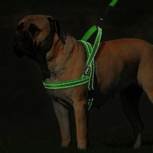 No Pull Quick Fit Reflective Stitching Dog Harness