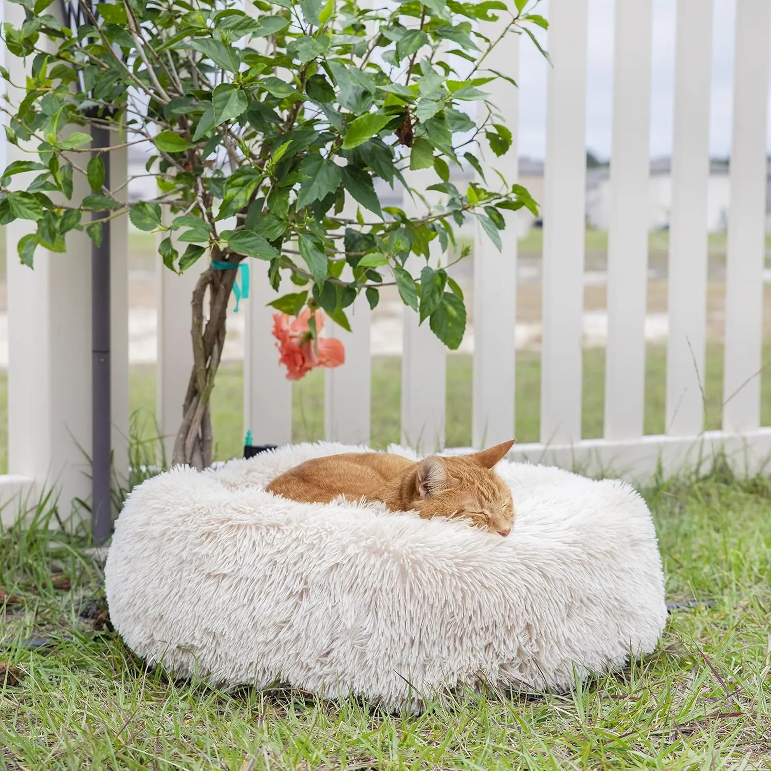 nononfish Puppy Bed for Small Dogs Washable Calming Cat Beds for Indoor Cats Anti-Slip Round Fluffy Plush Faux Fur fits up to 25 lbs Pets,23 inches Beige