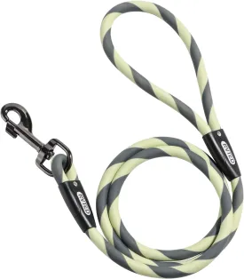 NVTED Waterproof Dog Leash Durable Waterproof Odor Proof Premium PVC Pet Lead Fast Clasp Adjustable Lengths for Traffic Control Safety for Medium Large Dogs - 4ft, Green