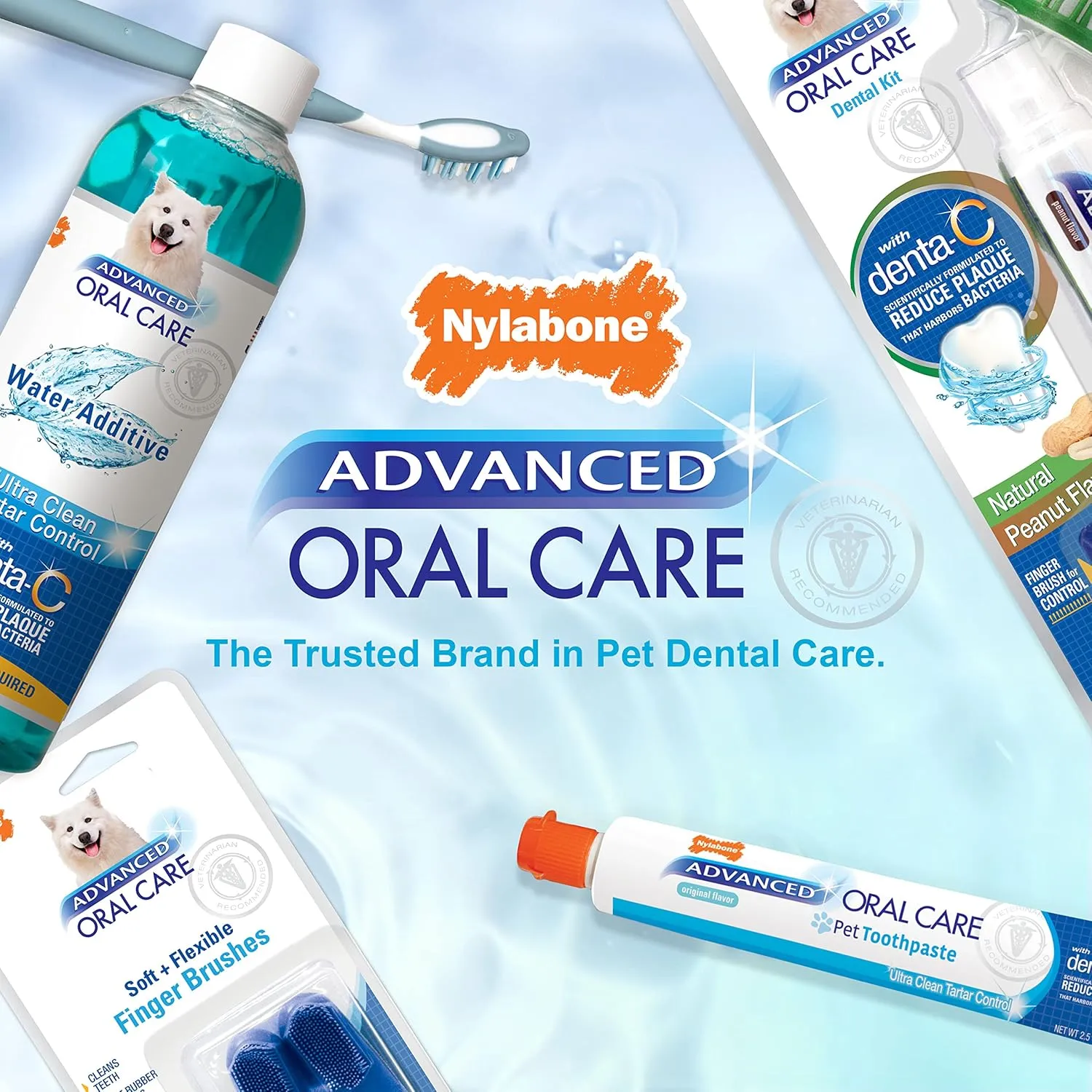 Nylabone Advanced Oral Care Pet Dental Foam Tartar Remover & Breath Freshener for Dogs, Dog Teeth-Cleaning, 4 oz.