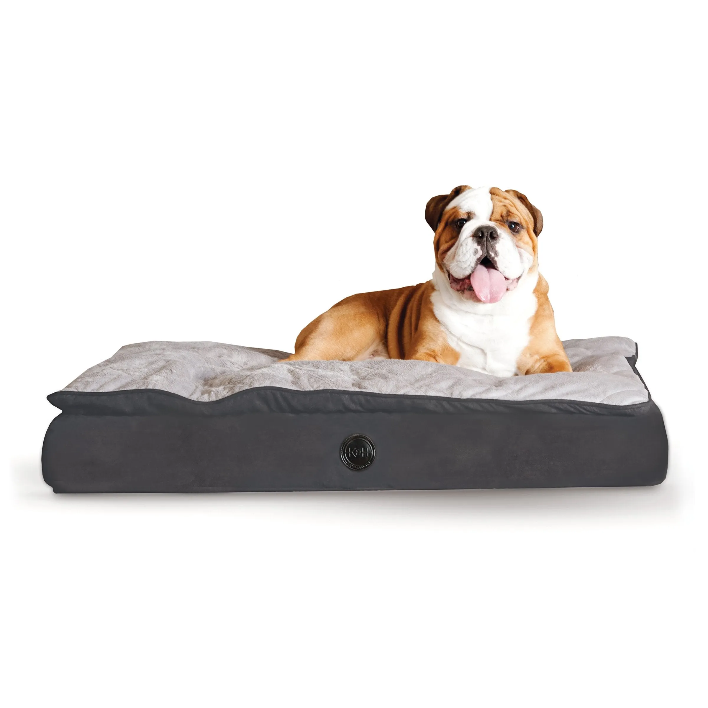 Orthopedic Dog Bed with Feather Top - 5" Medical Grade Memory Foam
