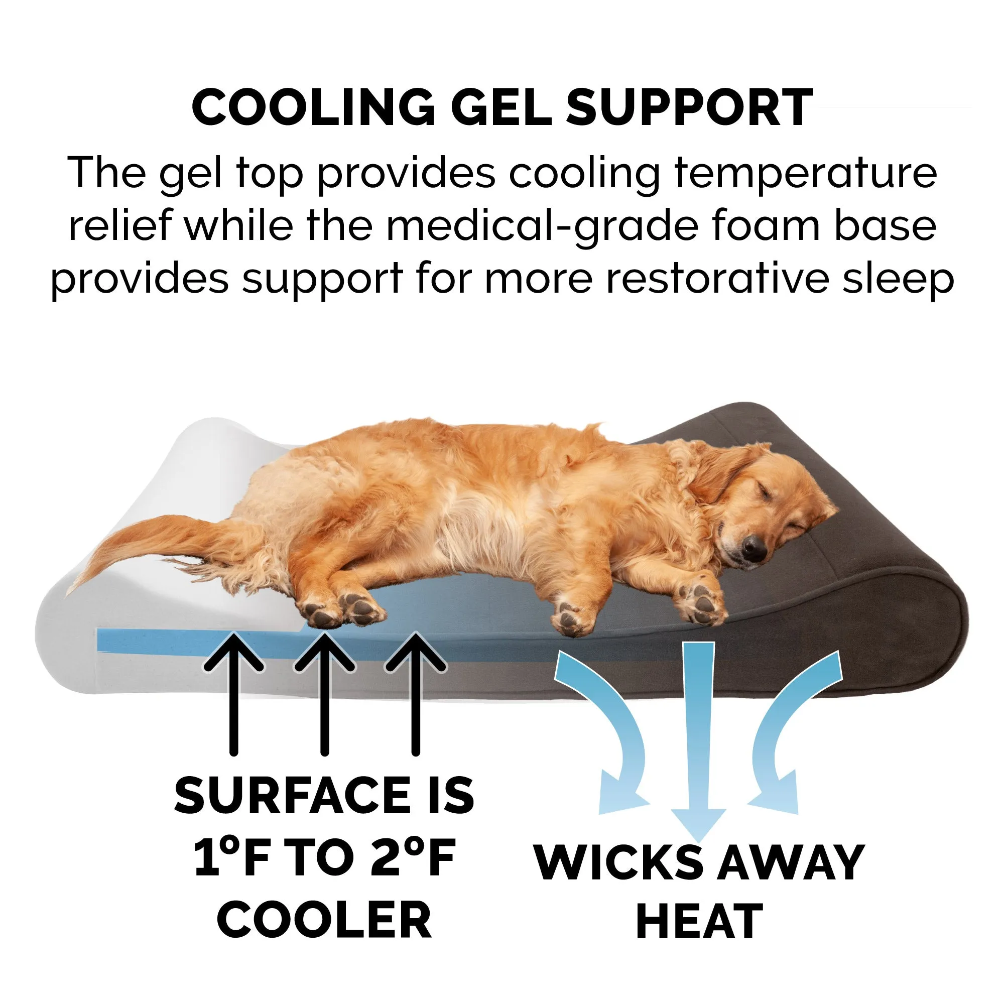 Orthopedic Microvelvet Luxe Lounger Pet Bed