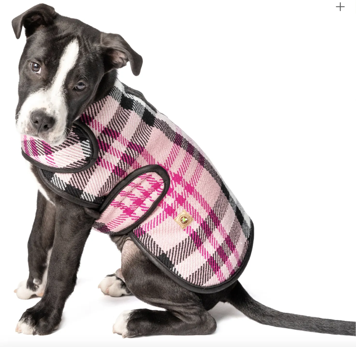 Pink Plaid Blanket Dog Coat