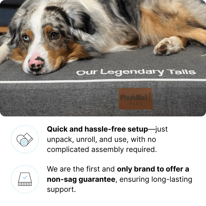 PlushMat! Orthopaedic Dog Bed