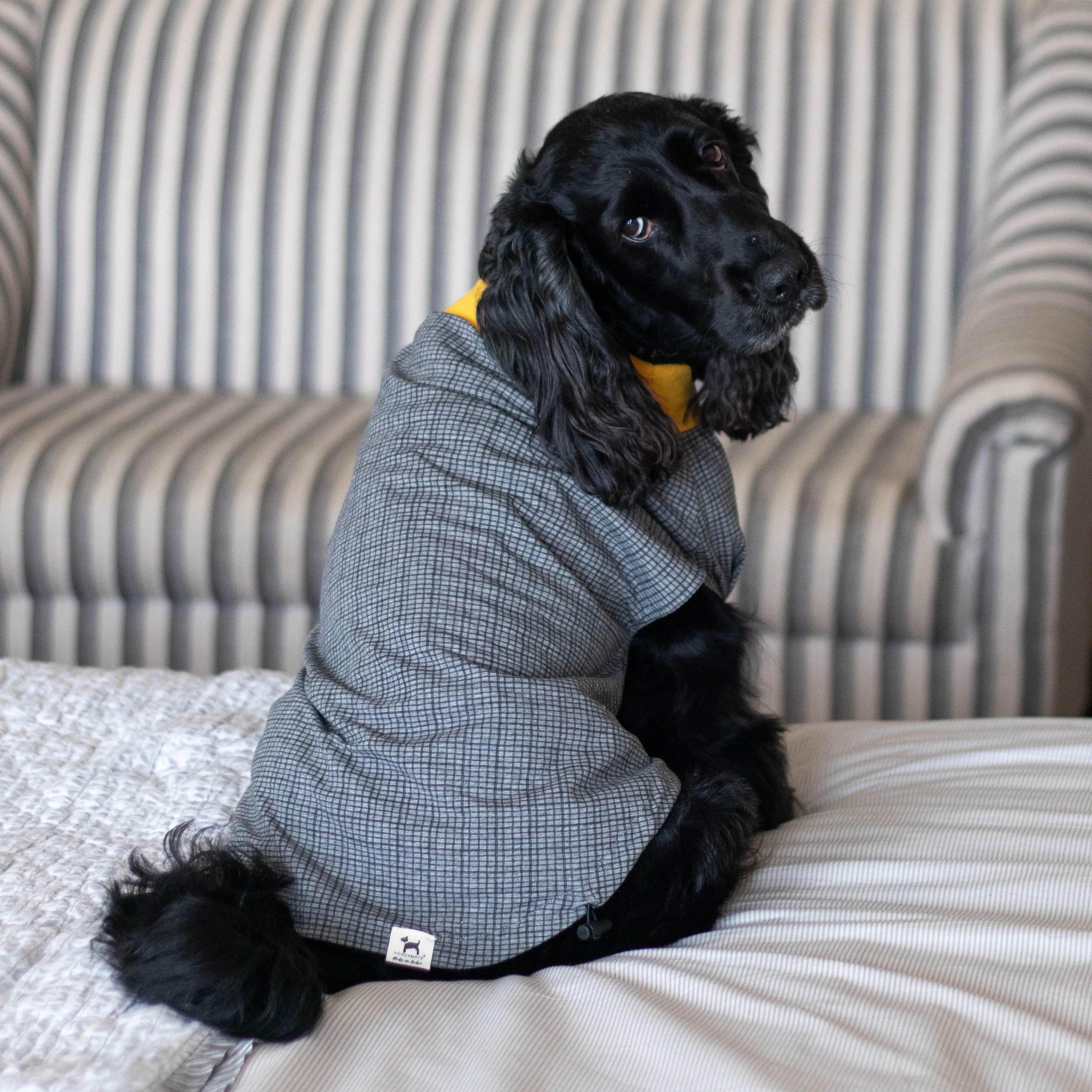 PoochMate Grey Checkered Cotton Dog T-Shirt