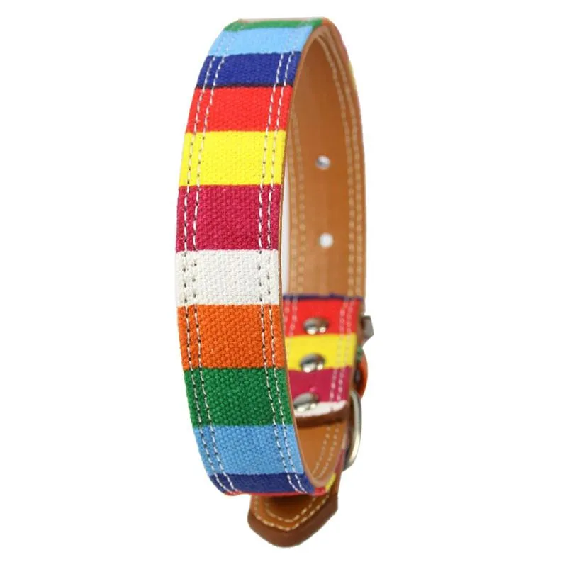 Rainbow Color Pattern Adjustable Pet Dog Collar