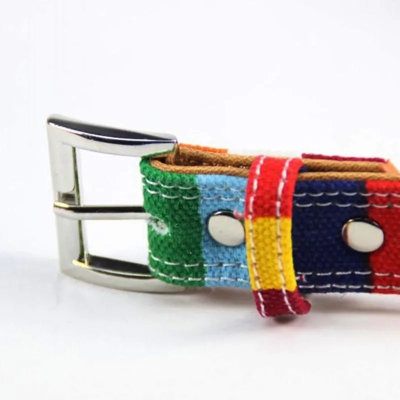 Rainbow Color Pattern Adjustable Pet Dog Collar