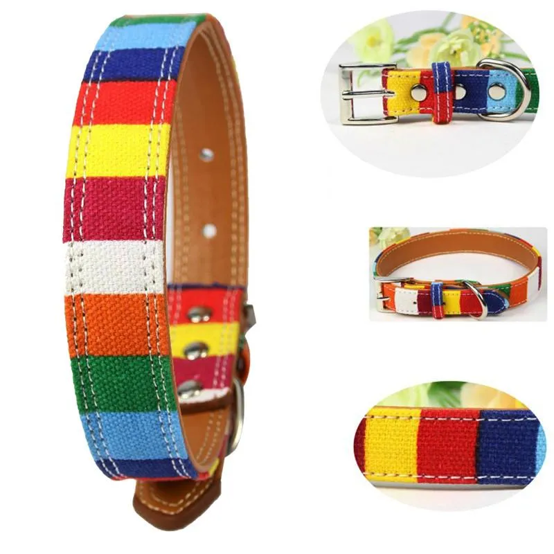 Rainbow Color Pattern Adjustable Pet Dog Collar