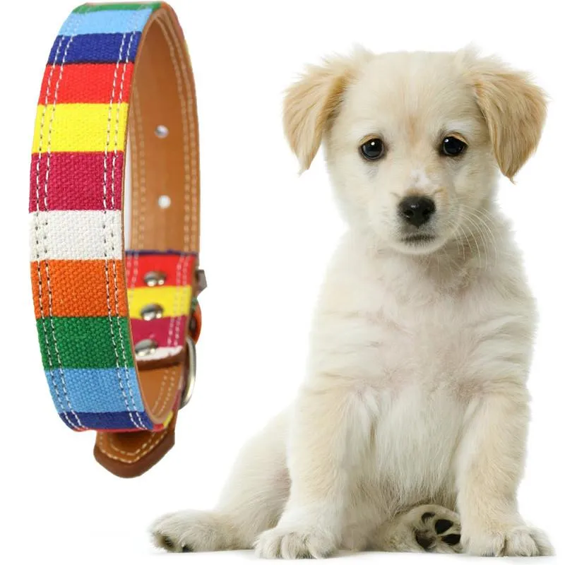 Rainbow Color Pattern Adjustable Pet Dog Collar