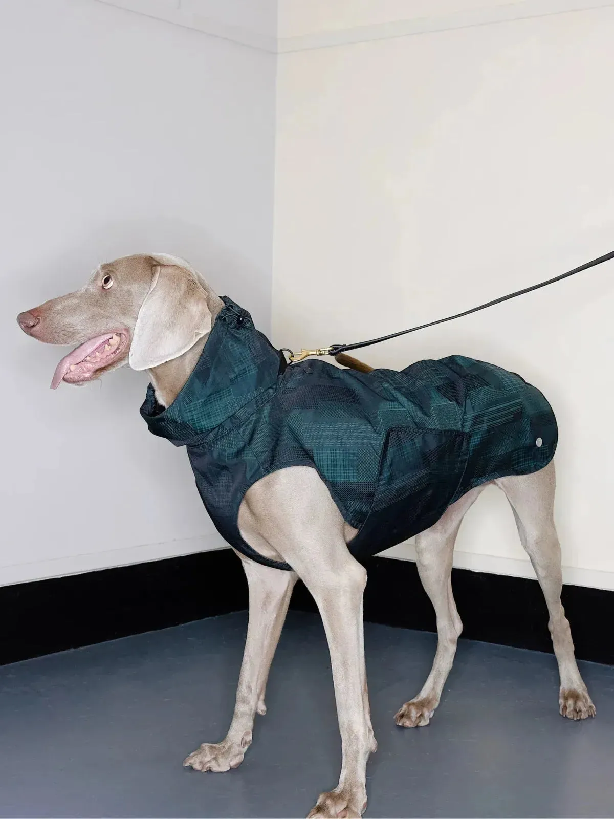 Reflective Lightweight Dog Raincoat Vest
