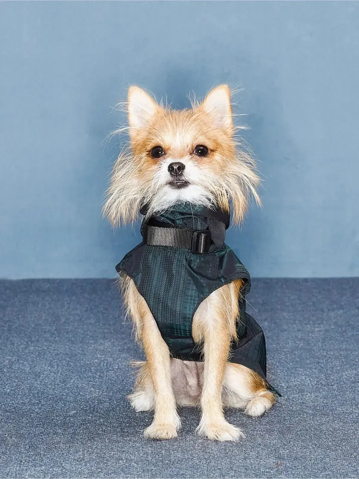 Reflective Lightweight Dog Raincoat Vest