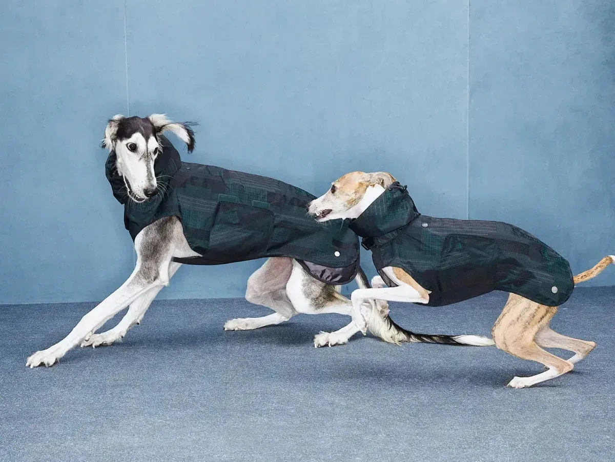 Reflective Lightweight Dog Raincoat Vest