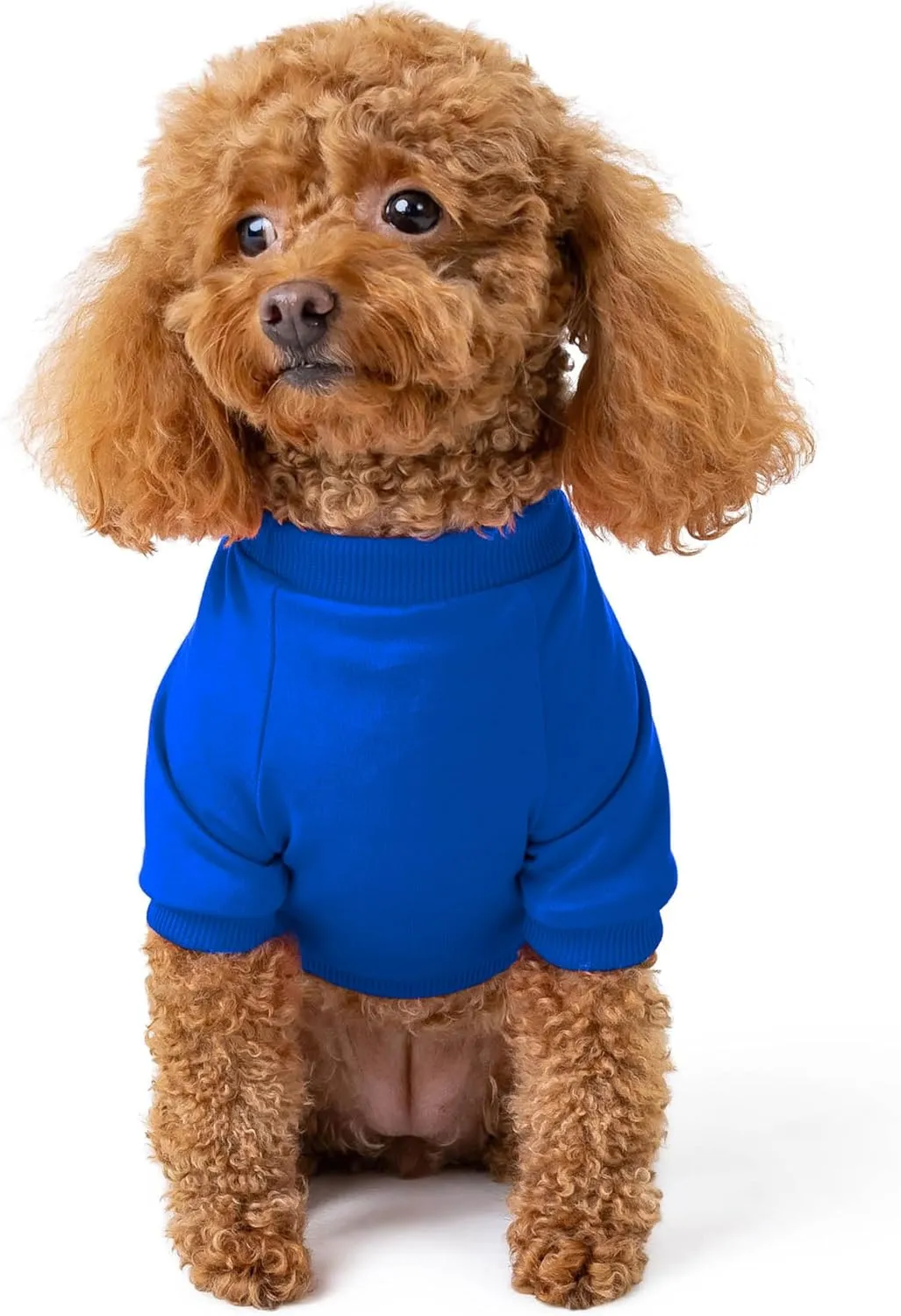 Rocky Thermal Jacket Clothes Fleece Lined Sweater for Dogs, Puppies, Warm Coat Bodysuit Onesie One Piece Vest Pet Jammies with Leg Warmers for Small, Medium, Large Dogs Cats (Blue, XX-Small)